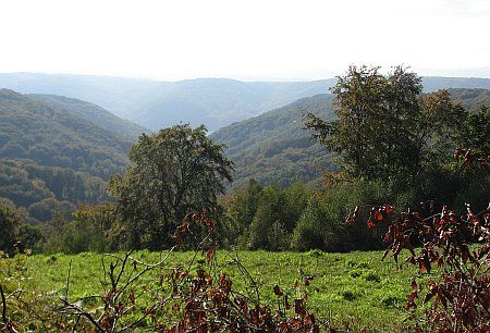 View Muehlbach Valley photo 23-View_Muehlbachtal_zpsogshjgh1.jpg
