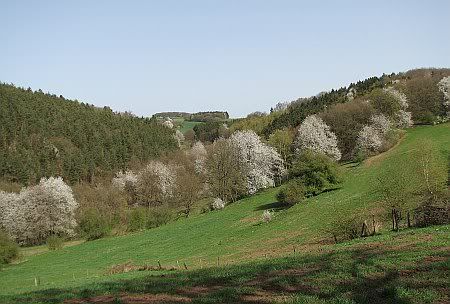 Rosstalsberg