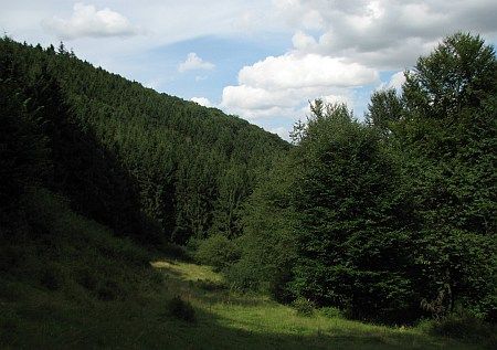 Steinbach Valley Rur