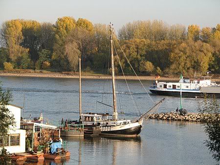 Rhine River Suerth