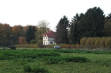 Landscape near Weiss