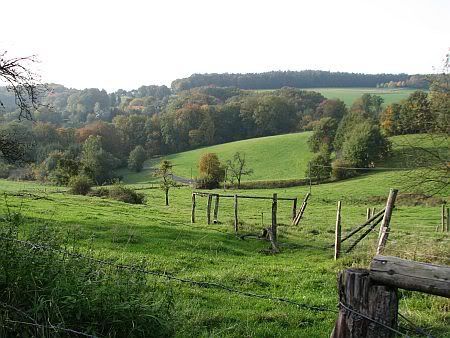 View to Plackenhohn