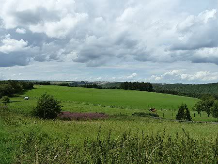 Landscape near Bronsfeld