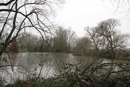 Lake Gut Zissendorf