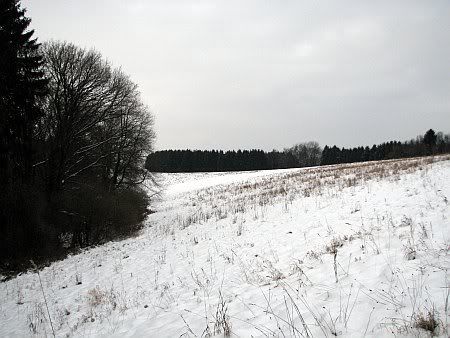 View to Muehlenberg