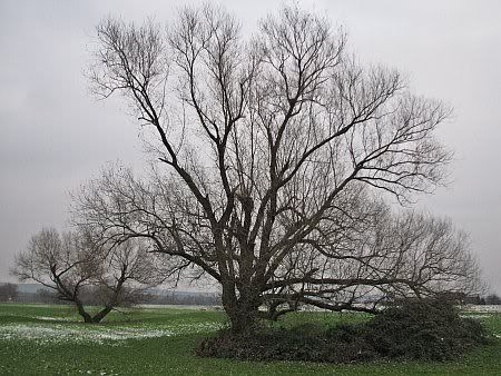 Sieg Valley near Buisdorf