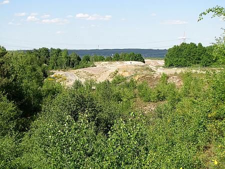 Clay Pit east of Castle Niederpleis