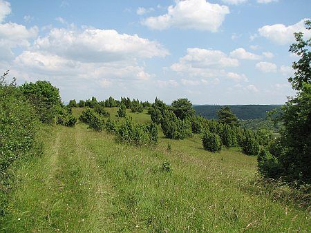 Eierberg photo 31-Landschaft_Eierberg_Alendorf_zps3ce6a42b.jpg