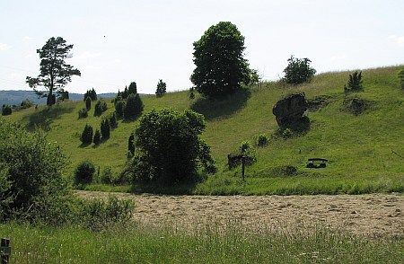  photo 44-Wacholderheide_nahe_Hippelsteinchen_zpsd1476b8d.jpg