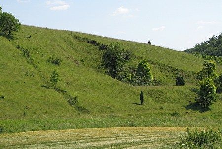 Landslide near Goennersdorf photo 48-Hangrutschung_E_Goennersdorf_zpsbd64e49b.jpg