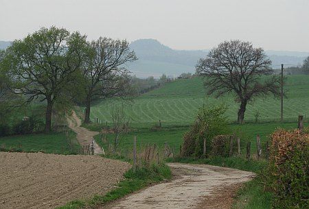 Landscape northwest of Hamich