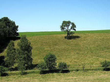 Landscape near Distelhausen