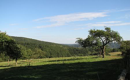 Landscape near Wilberhofen