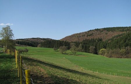 Landscape north of Wilberhofen