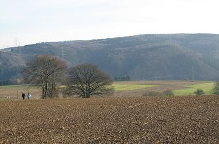 Landscape near Herchen