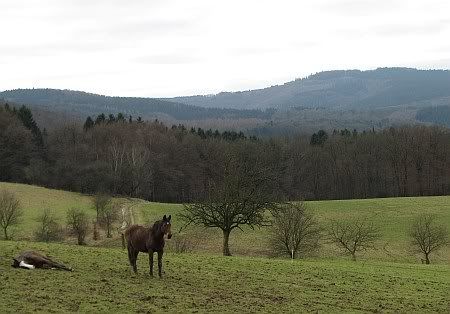 Landscape near Werfen