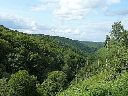 View Heimbacher Tal