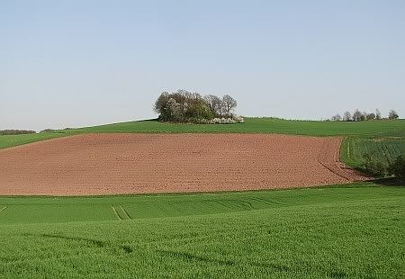 Landscape near Huerth