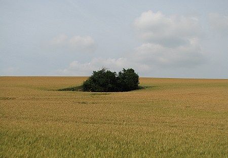 Goedesheimer Berg photo 89-Ackerterrasse_Goedersheimer_Berg_zps63a3991a.jpg