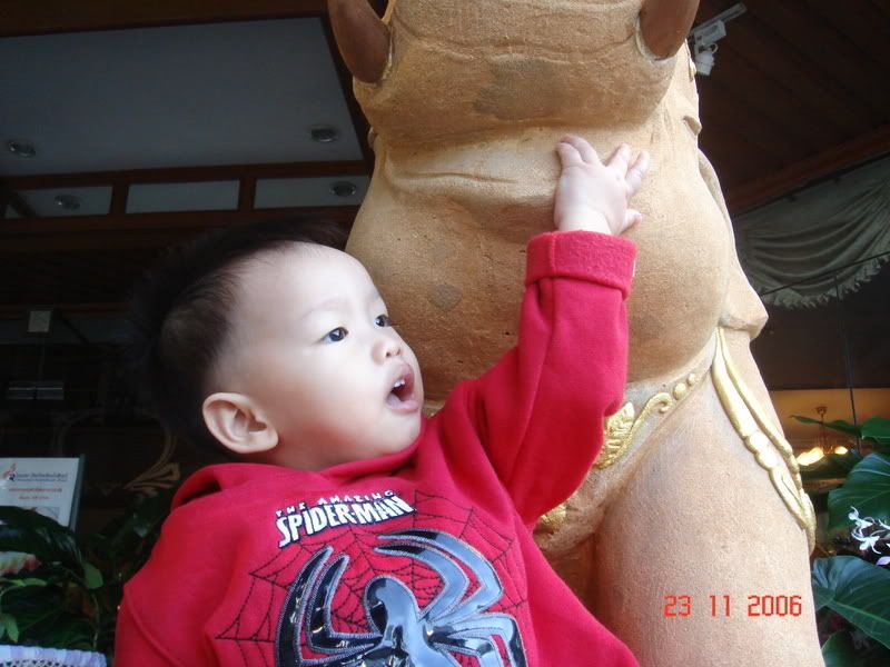 รูปภาพ