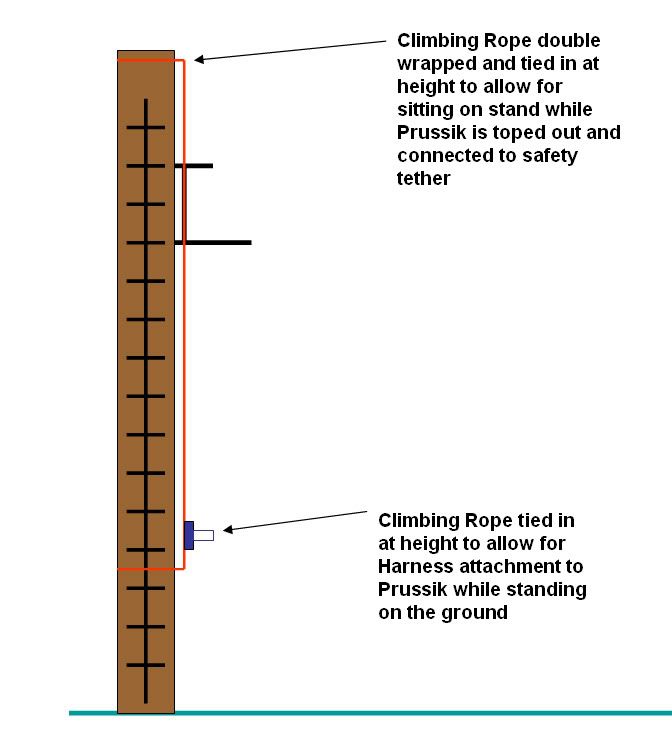PrussikSafetyline.jpg