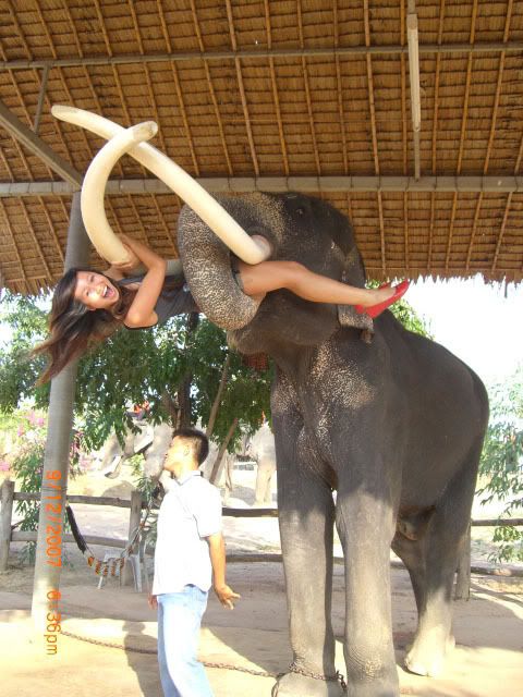 Haha, my new best friend is so strong!