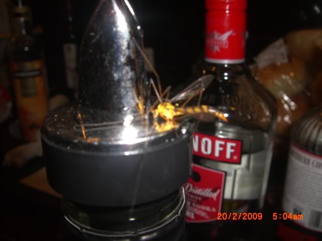 The bloody mosquitoes that we found, so Ray chased it with scissors and cut it