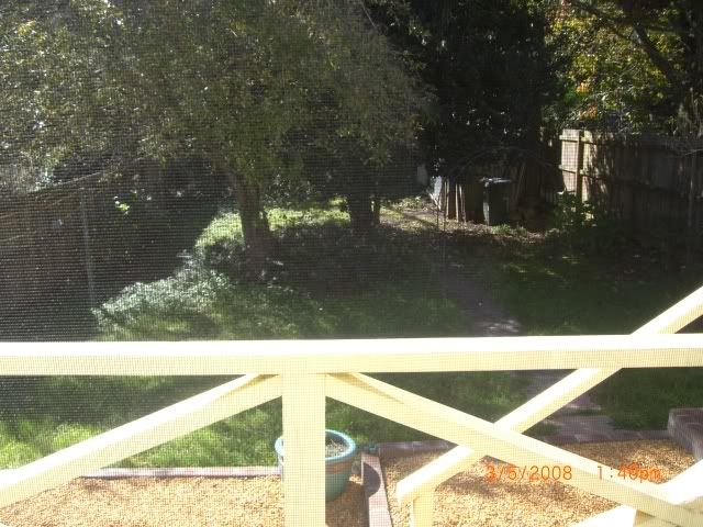 The backyard