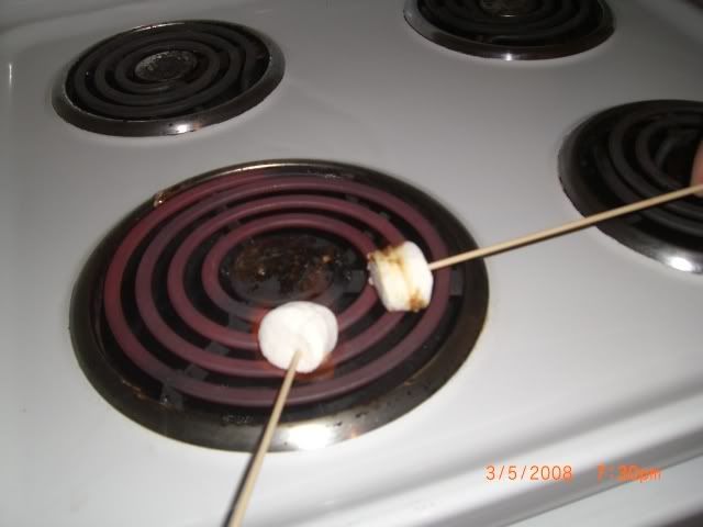 HAHAHA toasting mushmellowsssss