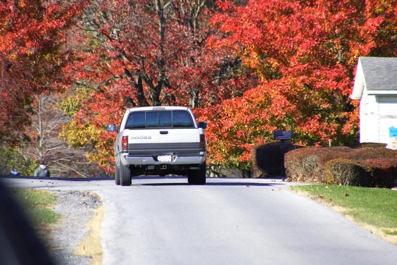 IMAGE: http://i30.photobucket.com/albums/c338/goobiwan/11-3-13-4_zpsd70aefbf.jpg