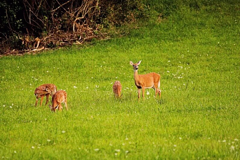 IMAGE: http://i30.photobucket.com/albums/c338/goobiwan/8-25-13-2-2_zps3230ef4a.jpg