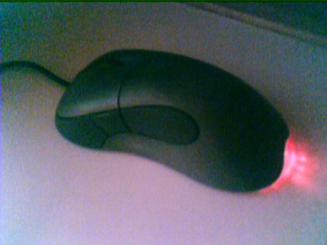 MY mouse
