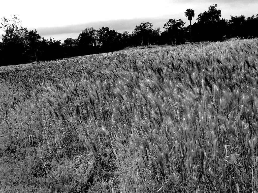 05022009073.jpg