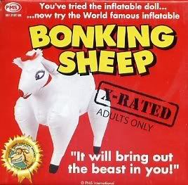 Sheep.jpg