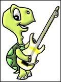 Guitar Turtle