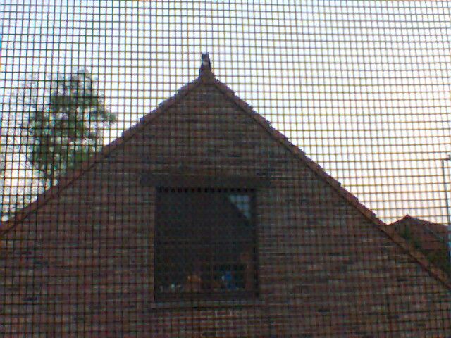 Foto0009_zpsab88d428.jpg