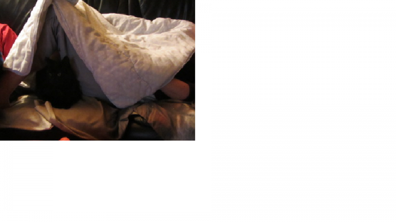 flynnnn_zps93ef5742.png
