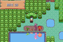 PokmonEmerald1.png