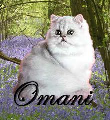 Omani Is Type Cast