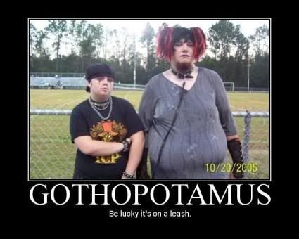 Gothopotamus Pictures, Images and Photos