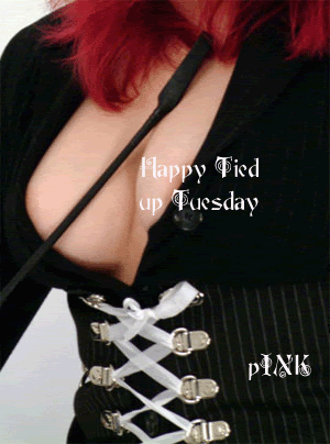 tied up Tuesday Pictures, Images and Photos
