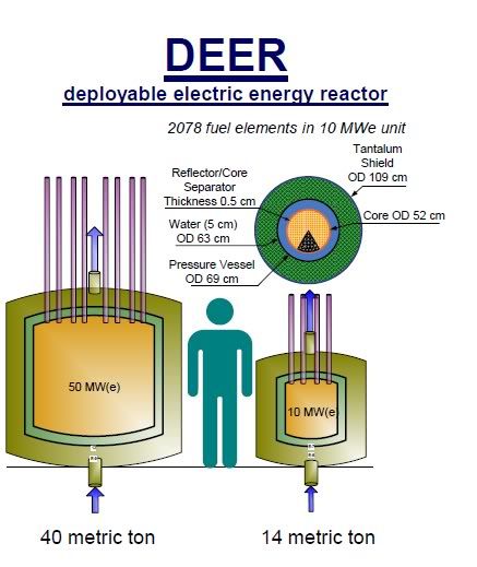 DEERcomparitivesizes.jpg
