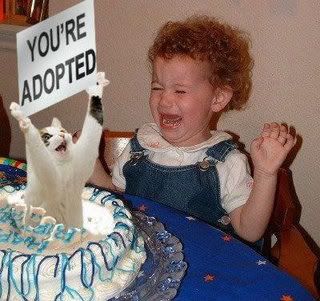 FunnyBirthdayPic.jpg