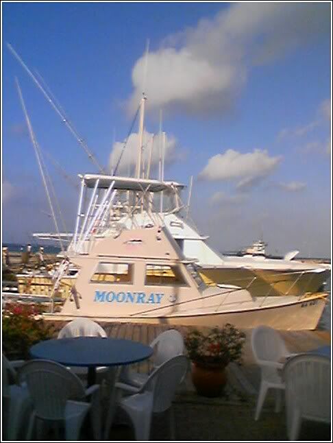 Moonray1.jpg