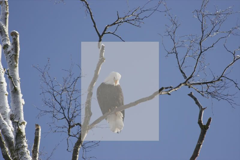 IMAGE: http://i30.photobucket.com/albums/c347/Incomel/test-print.jpg