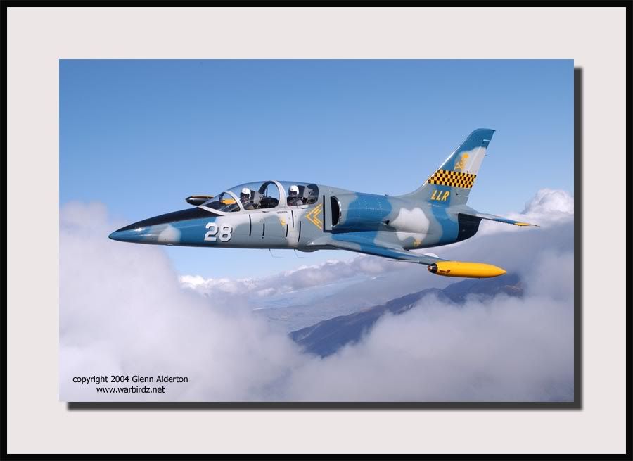 http://i30.photobucket.com/albums/c347/warbirds123/L39acopy.jpg