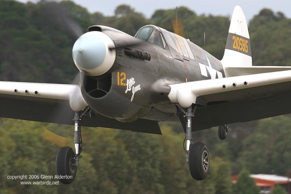 http://i30.photobucket.com/albums/c347/warbirds123/P-40copy.jpg