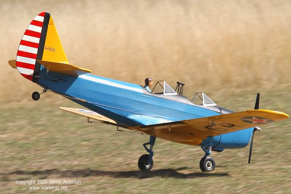 http://i30.photobucket.com/albums/c347/warbirds123/PT-19.jpg