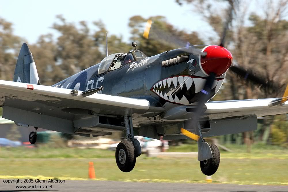 http://i30.photobucket.com/albums/c347/warbirds123/Spitfirecopy.jpg