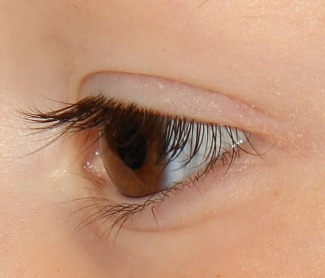 IMAGE: http://i30.photobucket.com/albums/c349/DrSteveMcD/100crop.jpg